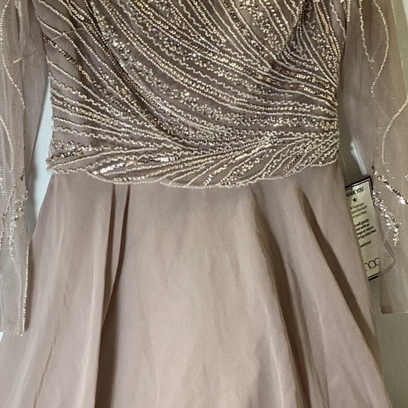 Xscape Evenings Long Chiffon Dress with Illusion Sequin Long Sleeves (Blush) - Picture 7 of 11